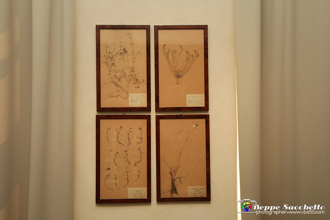 VBS_1250 - Castello di Miradolo - Mostra Oltre il giardino l'Abbecedario di paolo Pejrone.jpg